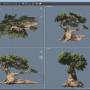 tree-window_viewports.jpg