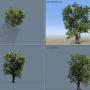 tree-window-viewports-four-with-projection-types.png